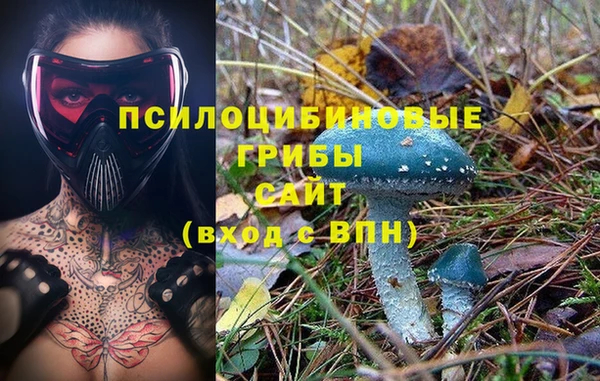 метадон Бородино